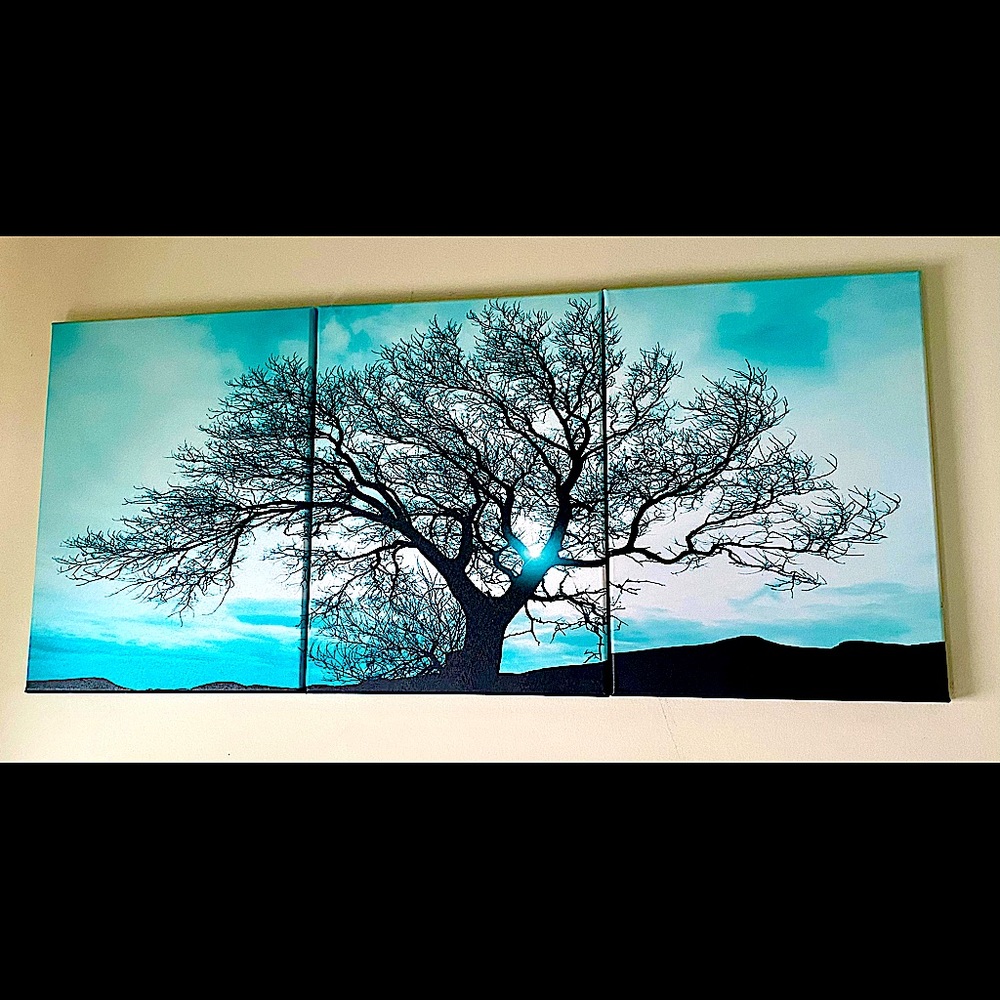 3 Piece Framed Canvas Picture Black, White & Tea Tree under Sunset
